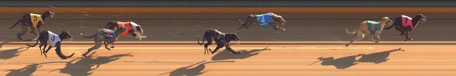 Photo finish for Bendigo Race 1