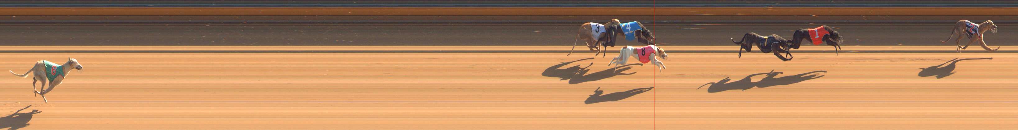 Photo finish for Bendigo Race 2