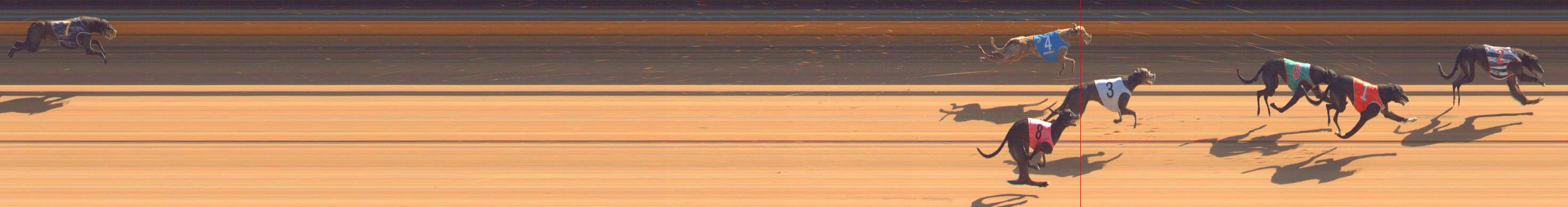Photo finish for Bendigo Race 3