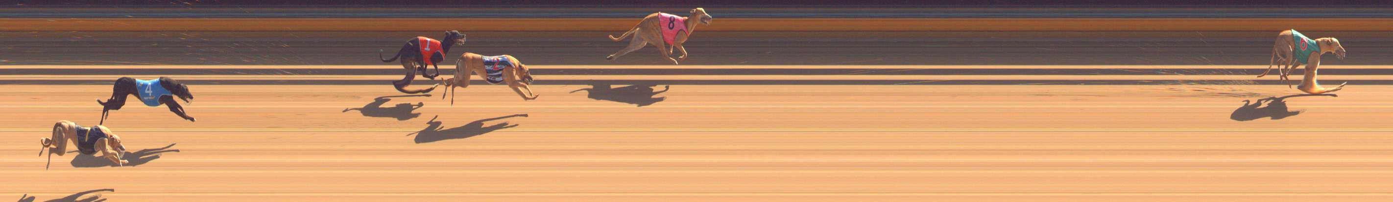Photo finish for Bendigo Race 4