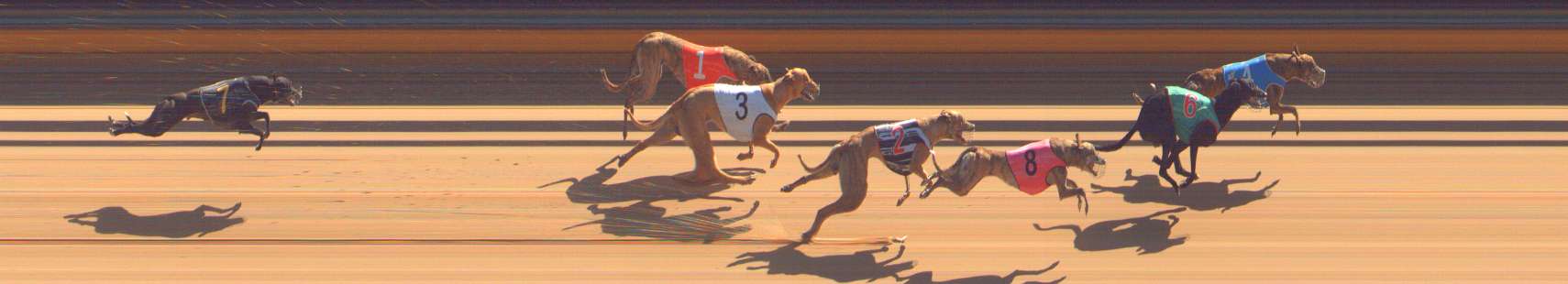 Photo finish for Bendigo Race 5