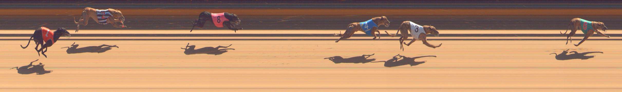 Photo finish for Bendigo Race 6