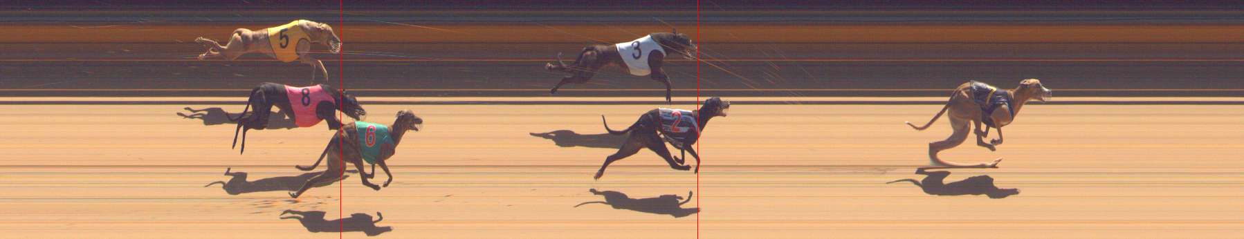 Photo finish for Bendigo Race 8