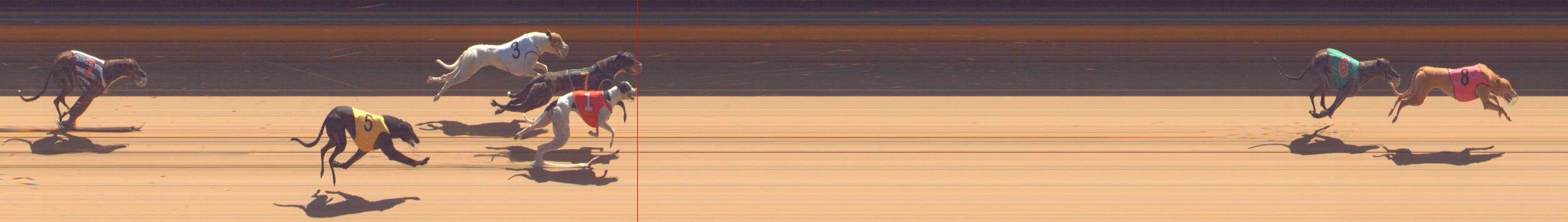 Photo finish for Bendigo Race 9