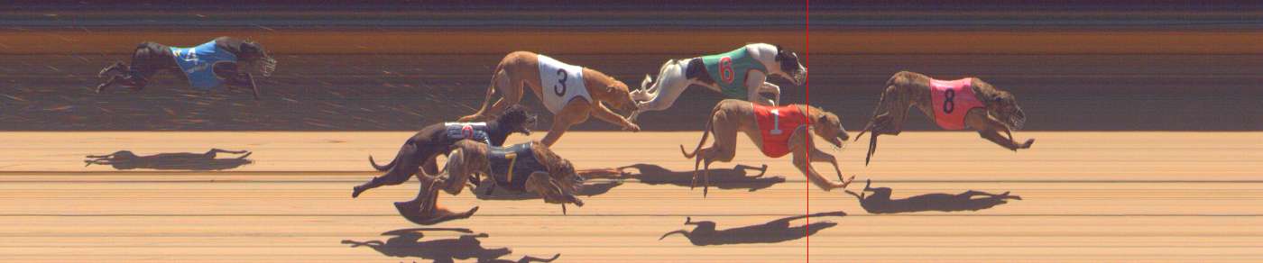 Photo finish for Bendigo Race 10