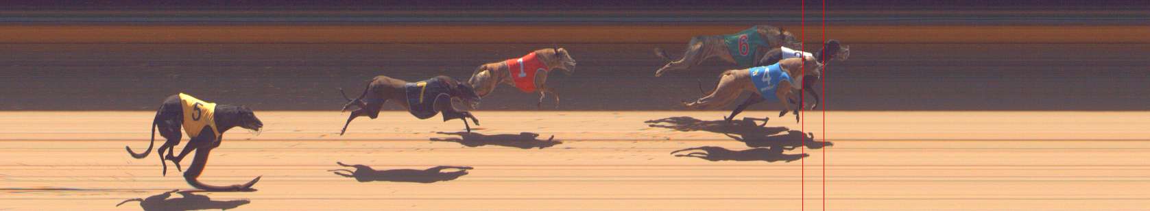 Photo finish for Bendigo Race 11