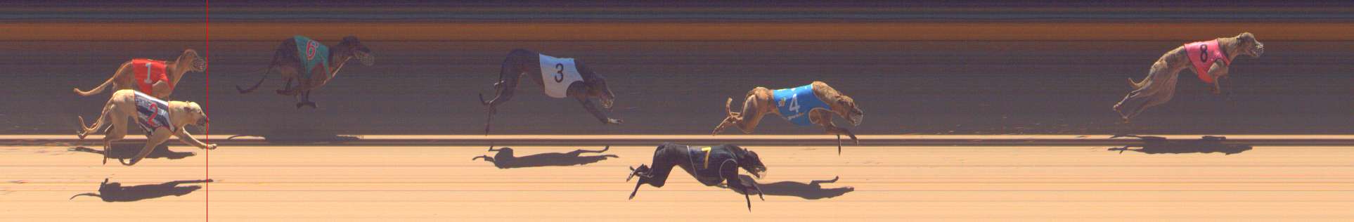 Photo finish for Bendigo Race 12
