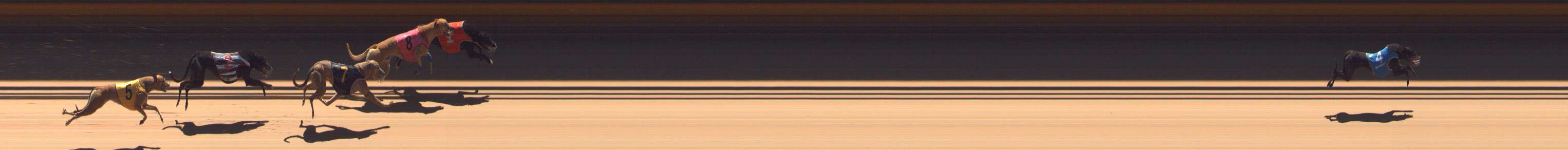 Race result finish photo