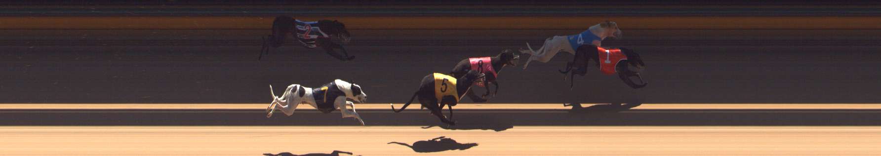 Race result finish photo