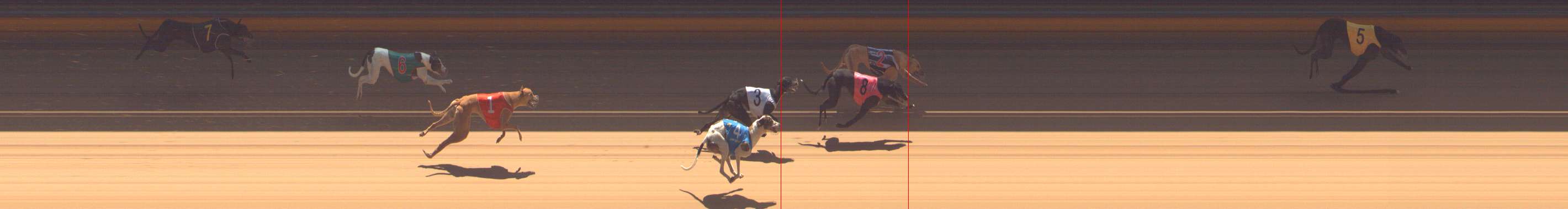 Race result finish photo