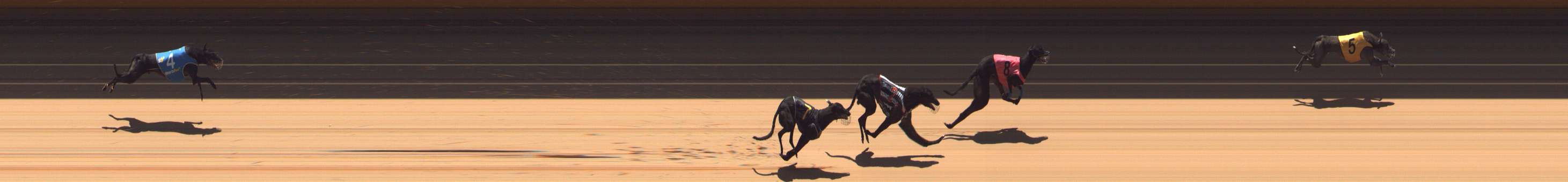 Race result finish photo