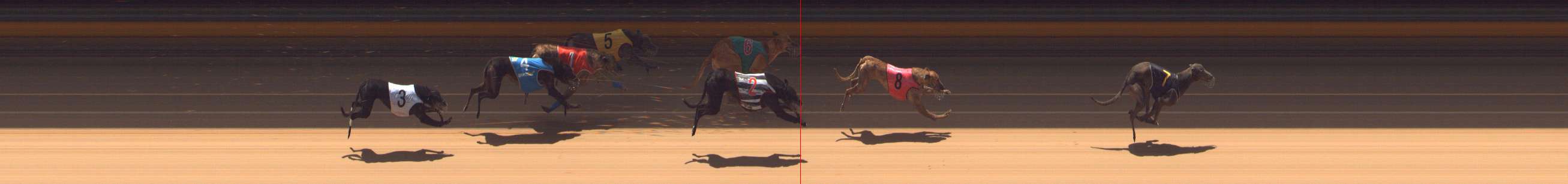 Race result finish photo