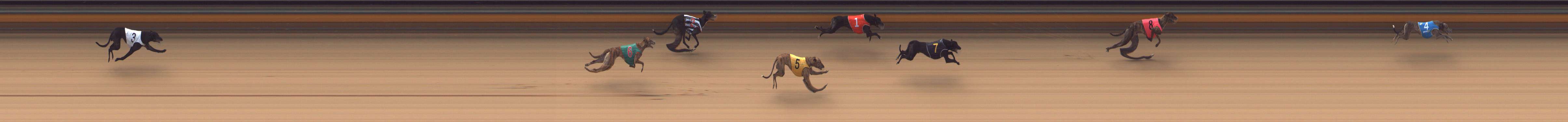 Race result finish photo