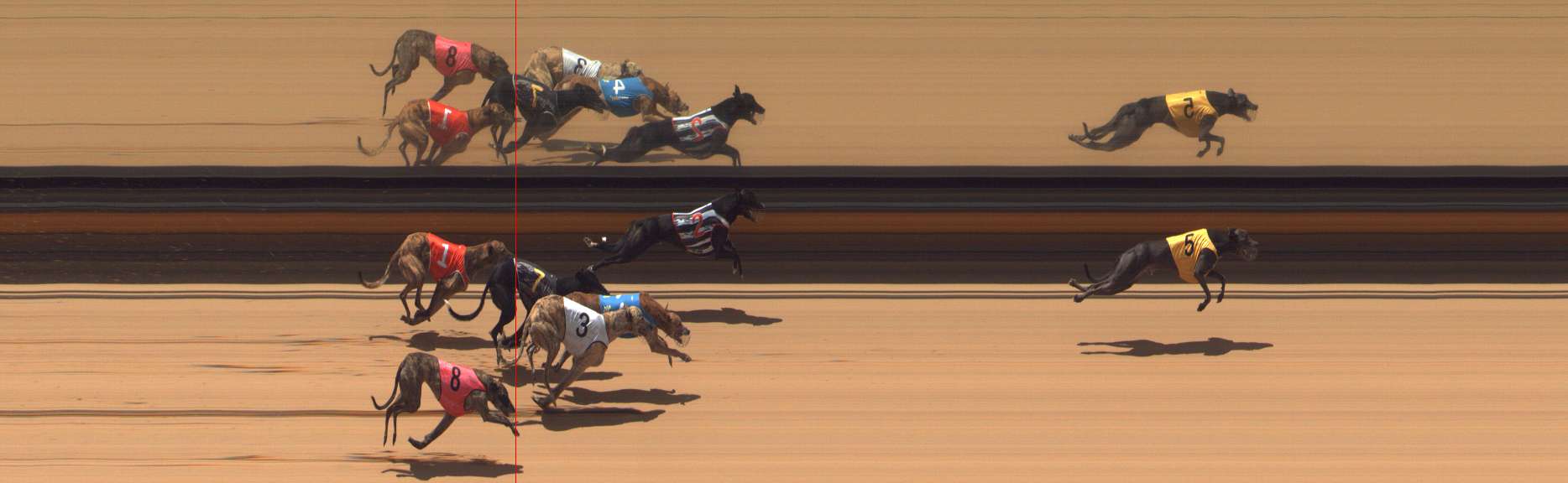 Race result finish photo