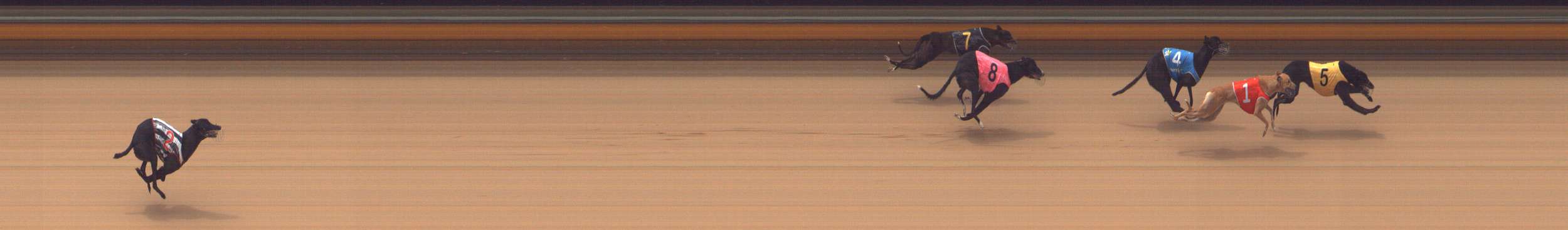 Race result finish photo