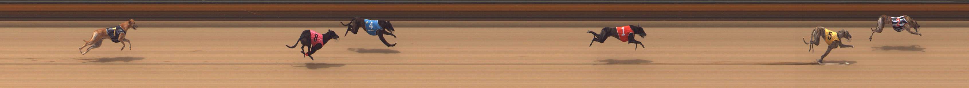 Race result finish photo