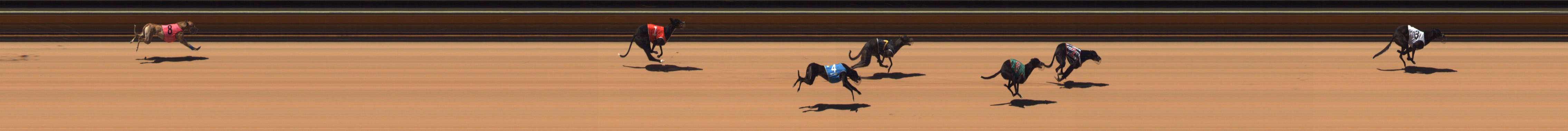 Race result finish photo