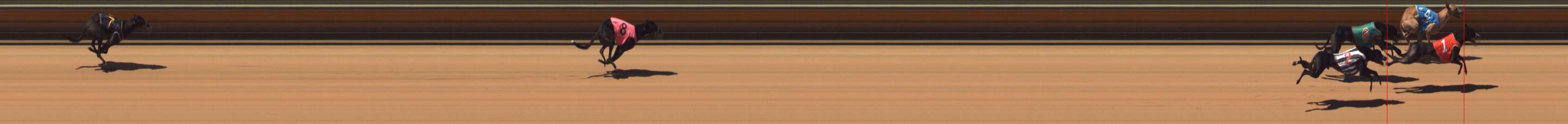 Photo finish for Bendigo Race 2