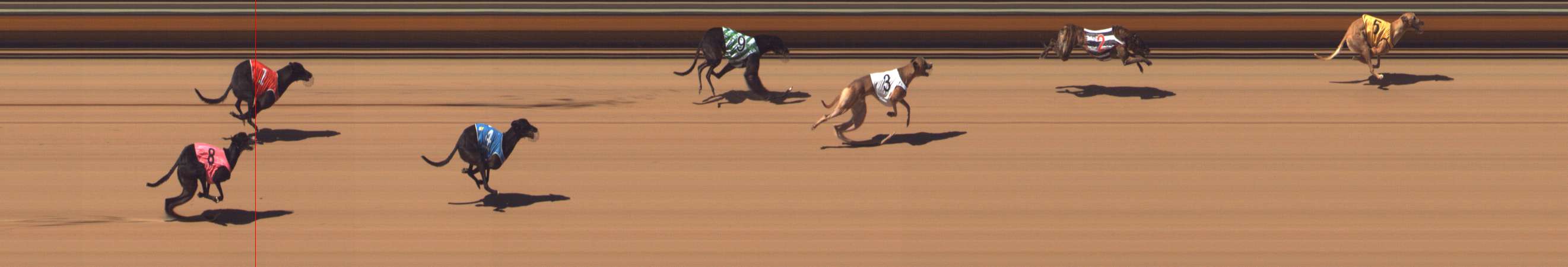 Photo finish for Bendigo Race 4