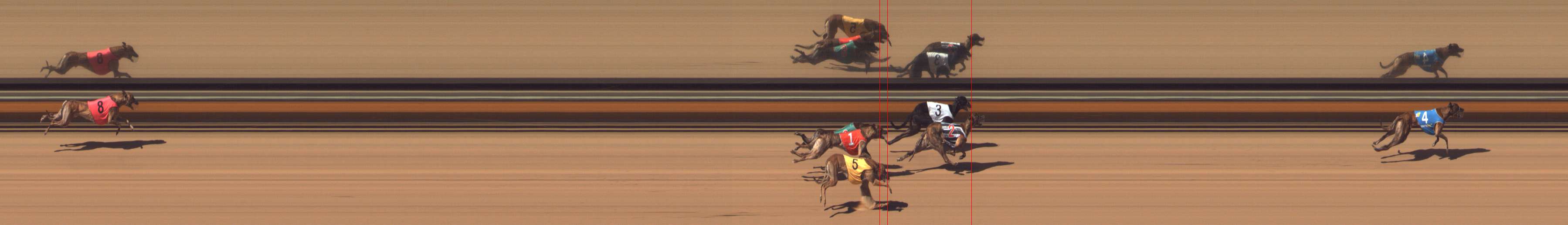 Photo finish for Bendigo Race 5
