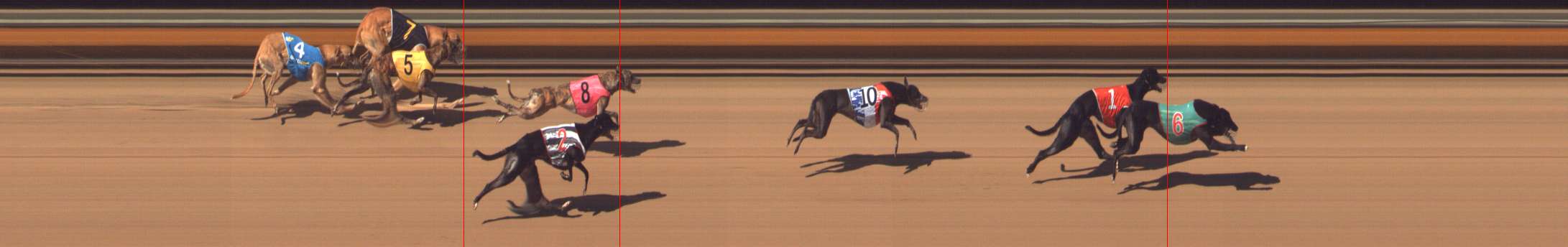 Photo finish for Bendigo Race 6
