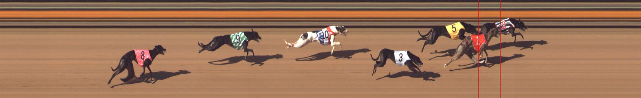 Photo finish for Bendigo Race 8