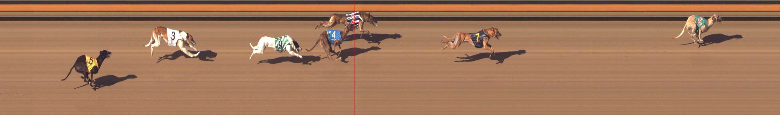 Photo finish for Bendigo Race 9