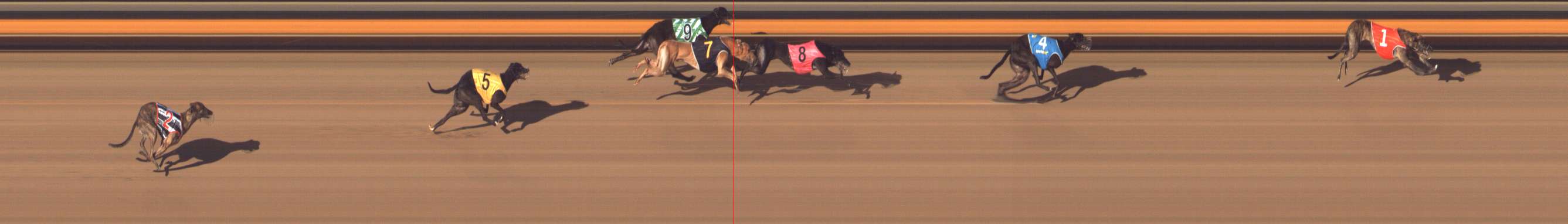 Photo finish for Bendigo Race 10