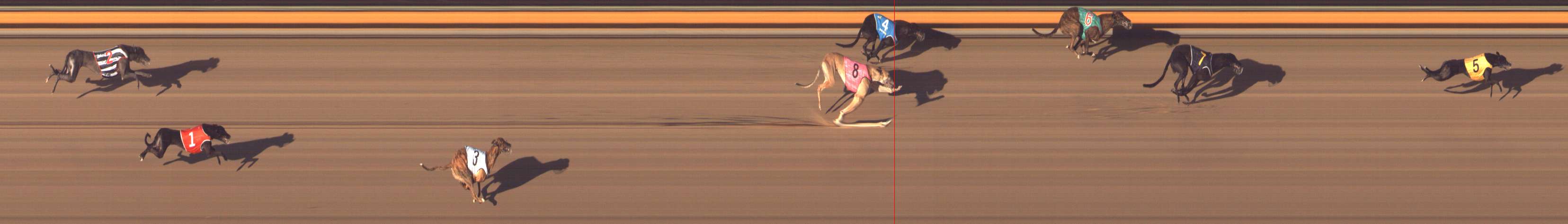 Photo finish for Bendigo Race 12
