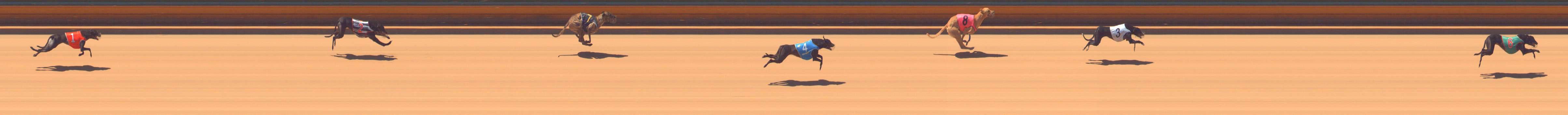 Race result finish photo