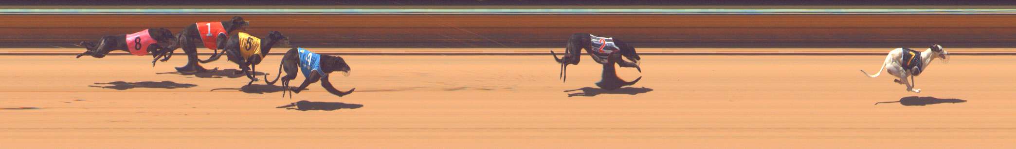 Photo finish for Bendigo Race 3