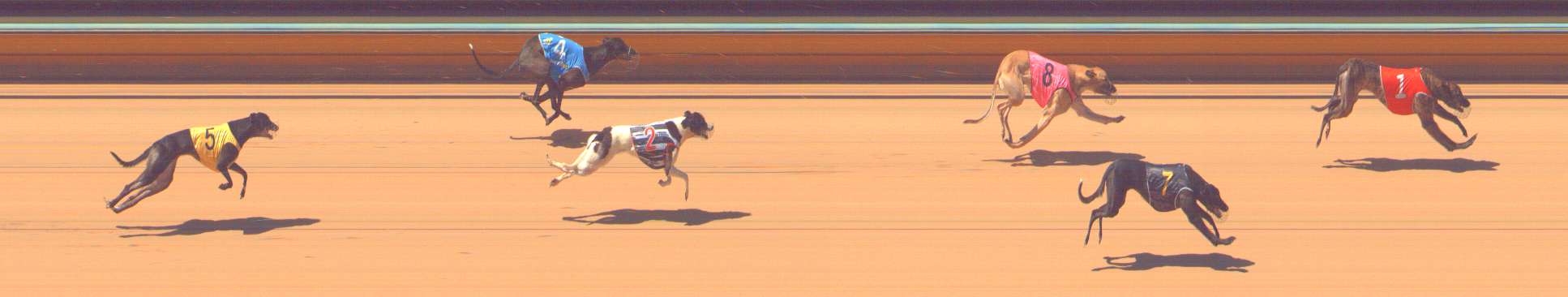 Photo finish for Bendigo Race 4