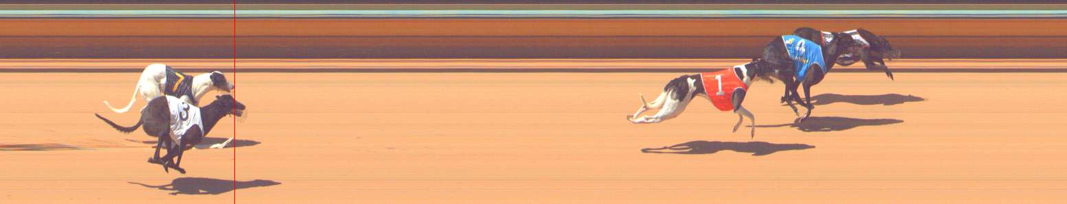 Photo finish for Bendigo Race 5