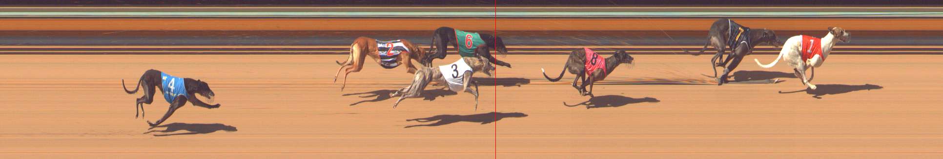 Photo finish for Bendigo Race 7