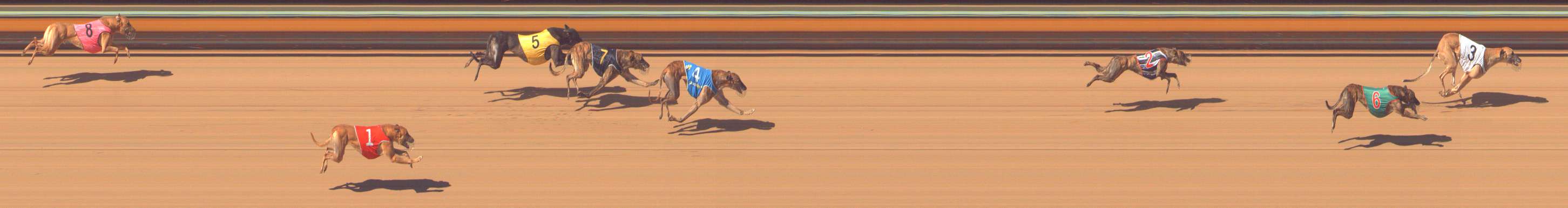 Photo finish for Bendigo Race 8
