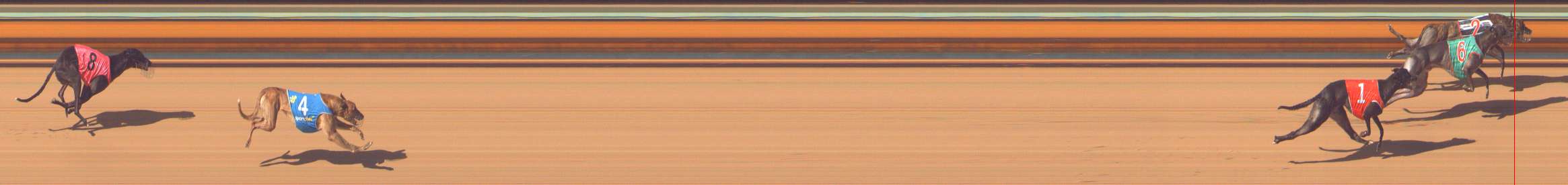 Photo finish for Bendigo Race 9