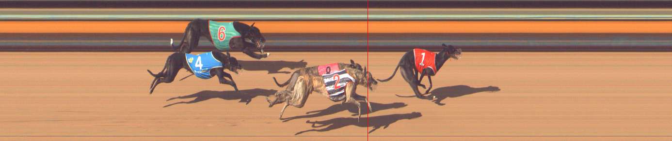 Photo finish for Bendigo Race 10