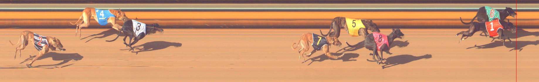 Photo finish for Bendigo Race 11