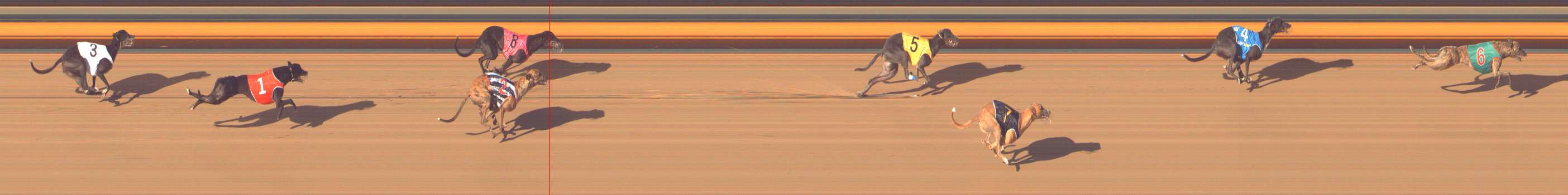 Photo finish for Bendigo Race 12