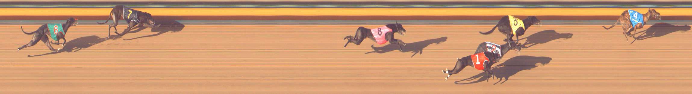 Photo finish for Bendigo Race 13