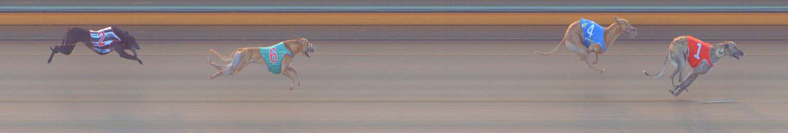 Race result finish photo