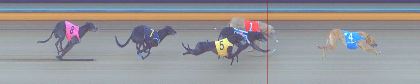 Photo finish for Bendigo Race 2