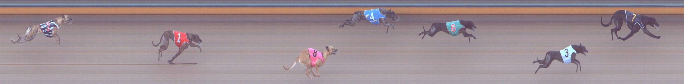 Photo finish for Bendigo Race 3