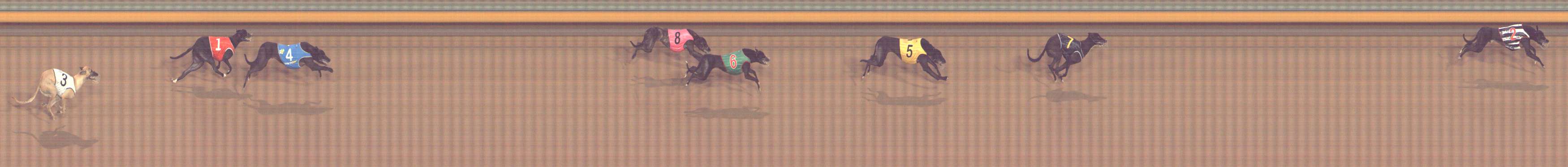 Photo finish for Bendigo Race 5