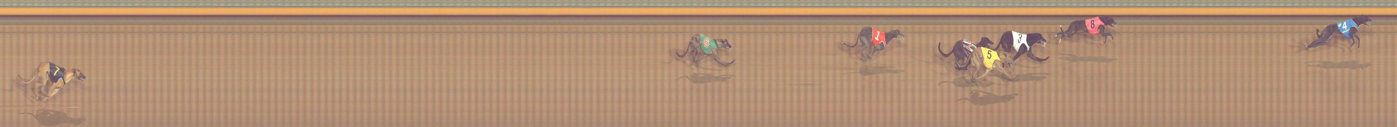 Photo finish for Bendigo Race 6