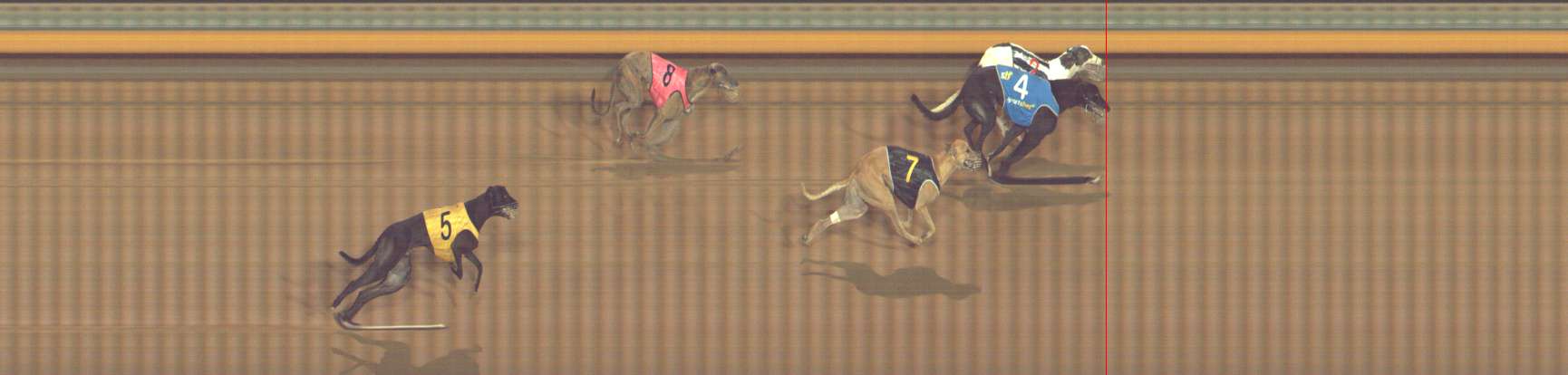 Photo finish for Bendigo Race 7