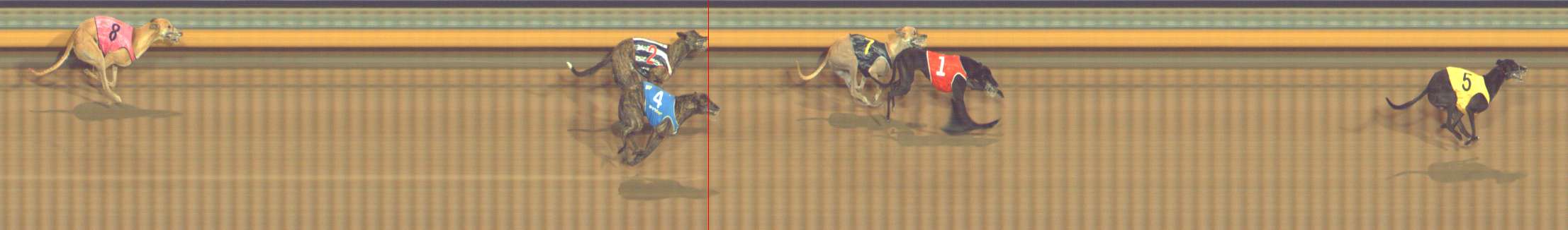 Photo finish for Bendigo Race 8