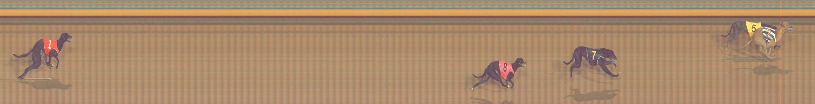 Photo finish for Bendigo Race 9