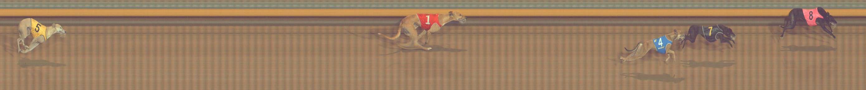 Photo finish for Bendigo Race 10