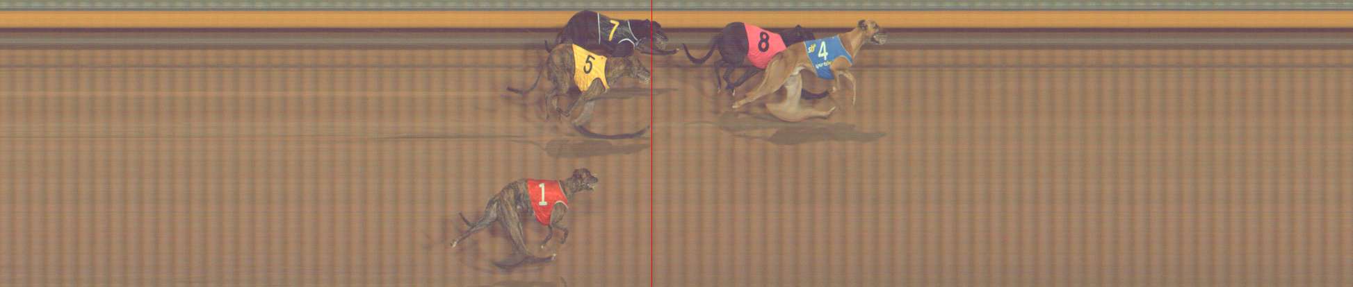 Photo finish for Bendigo Race 11